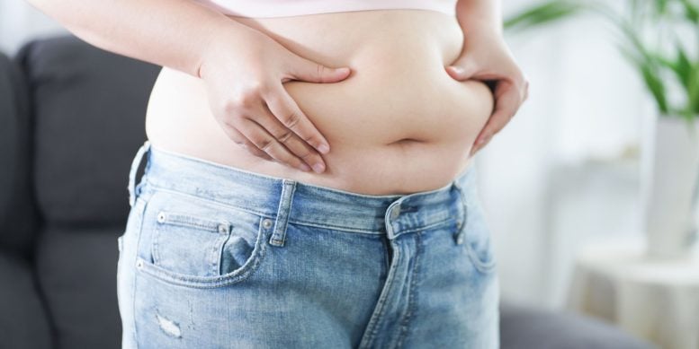 You Can Reverse Prediabetes Without Losing Weight, New Study Finds Belly Fat Woman Obesity