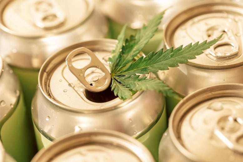 Cannabis Drinks May Offer a New Path to Drinking Less Alcohol Cannabis Leaf Aluminum Drink Cans