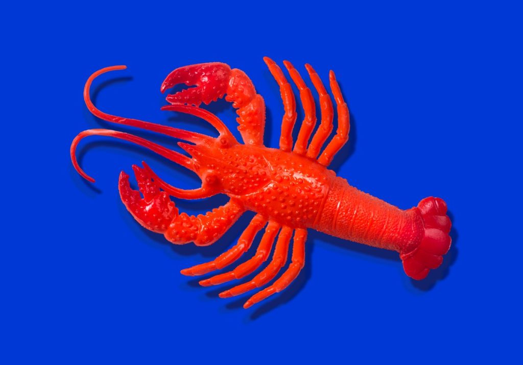 OpenClaw’s AI assistants are now building their own social network Red rubber lobster toy on blue background