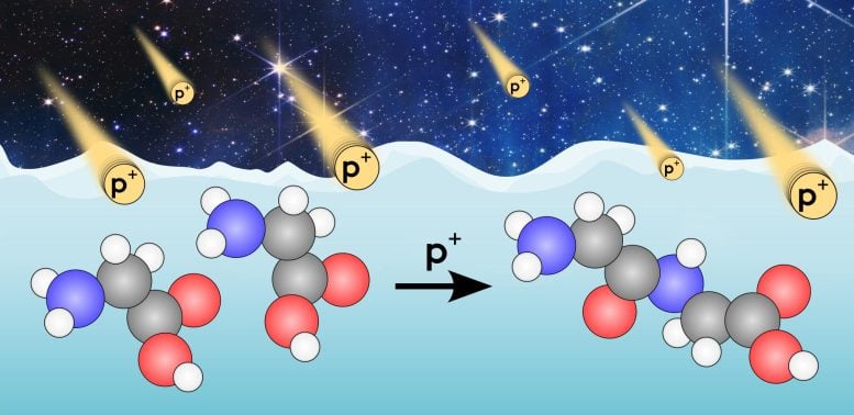 Deep Space Is Quietly Building the Ingredients for Life Interstellar Medium Glycine Bombarded by Cosmic Rays Producing Peptides
