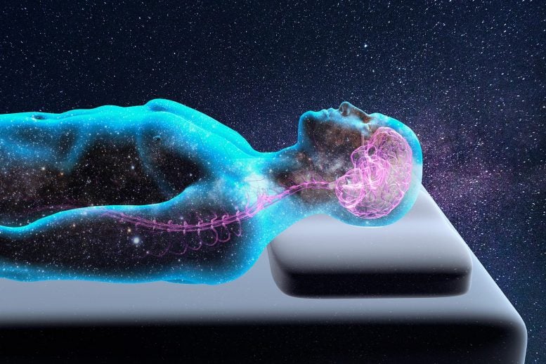 This Powerful New Brain Tool Could Tell Us How Consciousness Works Man Sleeping Universe Brain Consciousness