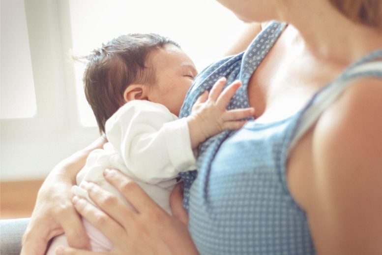 Scientists Discover Breast Milk Carries Key Gut Bacteria to Infants Mother Breastfeeding