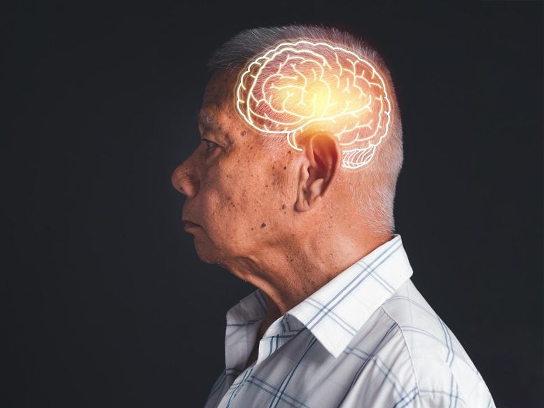 Scientists Discover Brain-Penetrating Compounds That May Calm Alzheimer’s-Linked Inflammation Old Asian Man Dementia Alzheimer's Parkinson's
