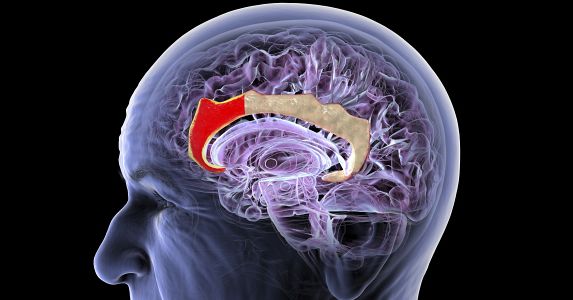 This Chinese Startup Wants to Build a New Brain-Computer Interface—No Implant Required This Chinese Startup Wants to Build a New Brain-Computer Interface—No Implant Required