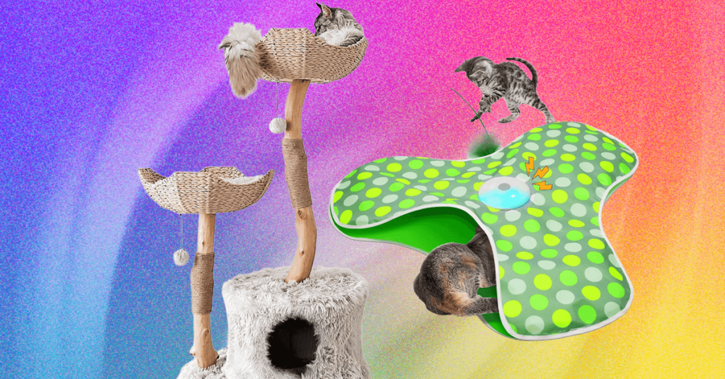 The Best Cat Toys for Your Furry Friend (2026)