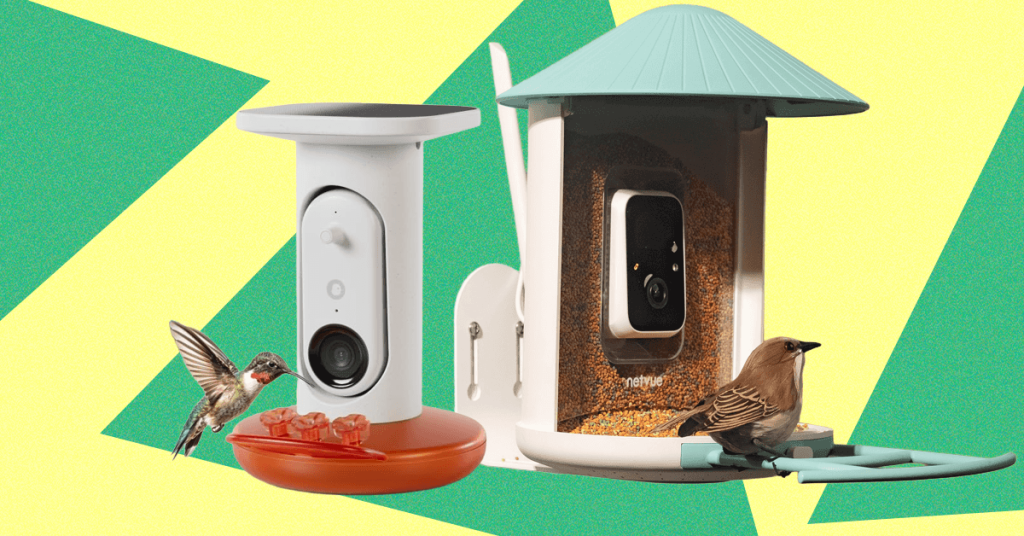 Best Bird Feeders With Cameras, Tested and Reviewed (2026)