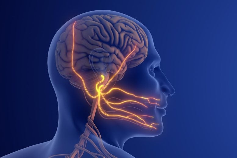 Cannabis and Chronic Nerve Pain: The Results Aren’t What Many Expect Trigeminal Neuralgia Severe Facial Nerve Pain
