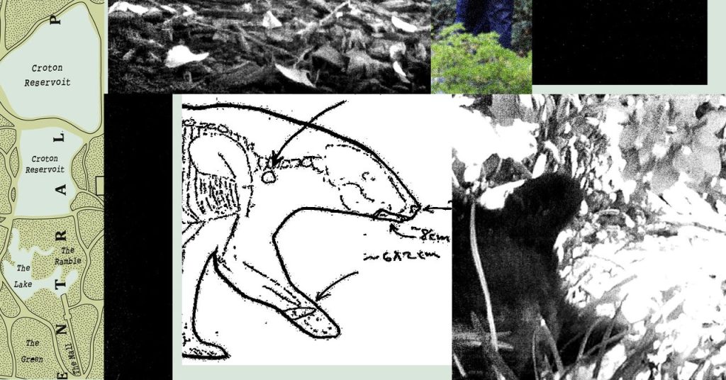 New Records Reveal the Mess RFK Jr. Left When He Dumped a Dead Bear in Central Park