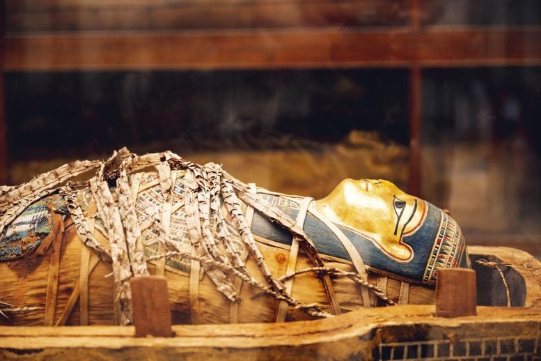 What Do Mummies Smell Like? Scientists Unlock 2,000-Year-Old Secrets Ancient Egyptian Mummy