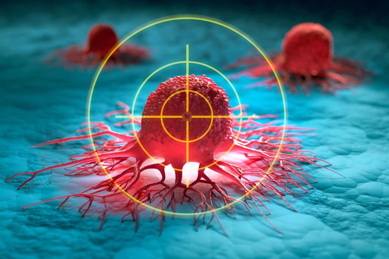 Scientists Rewire Natural Killer Cells To Attack Cancer Faster and Harder Cancer Cells Precision Targeting