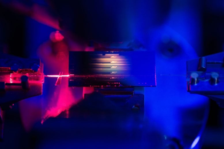 Tiny New Optical Amplifier Boosts Light by 100x Close Up of an Optical Amplifier Chip