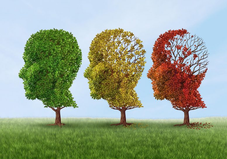 Lifelong Learning Linked to 38% Lower Alzheimer’s Risk Dementia Alzheimer's Abstract Concept