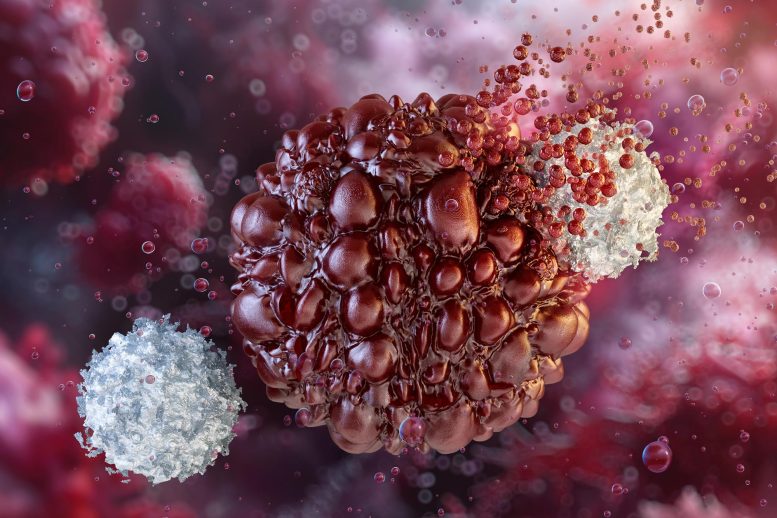 Scientists Turn Cancer’s Bodyguards Against It Destroying Cancer Cell NK Natural Killer Immune Cells