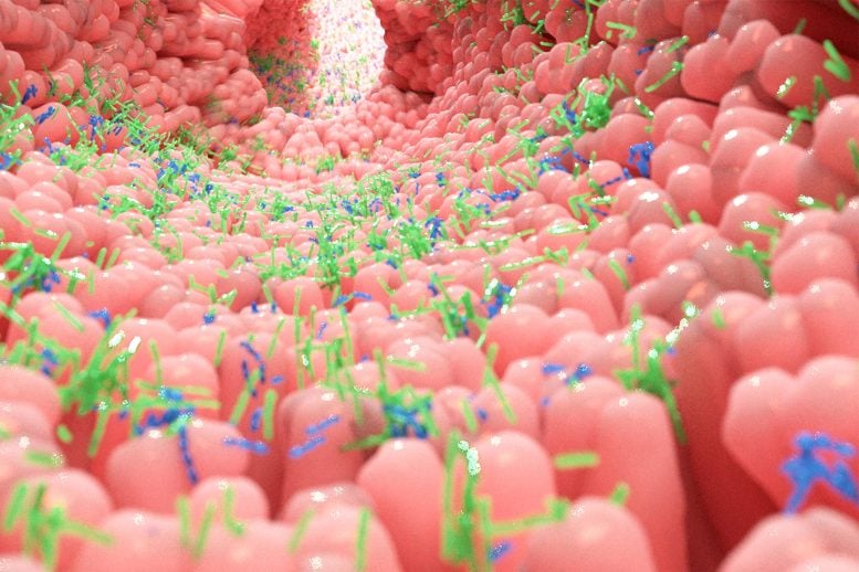 Your Gut Bacteria Are Actively Searching for Food Human Gut Microbiome Intestine