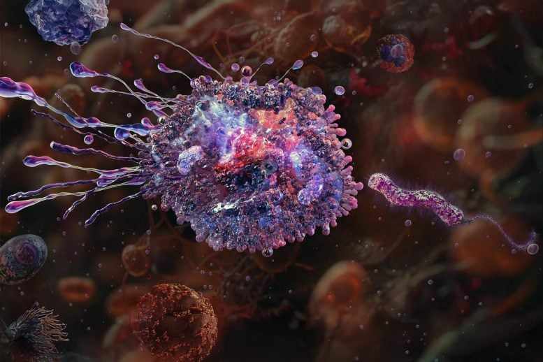 This Genetic Switch Helps Immune Cells Protect Your Organs Macrophage Attacking Pathogenic Bacteria