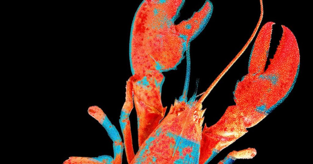 Moltbook, the Social Network for AI Agents, Exposed Real Humans’ Data