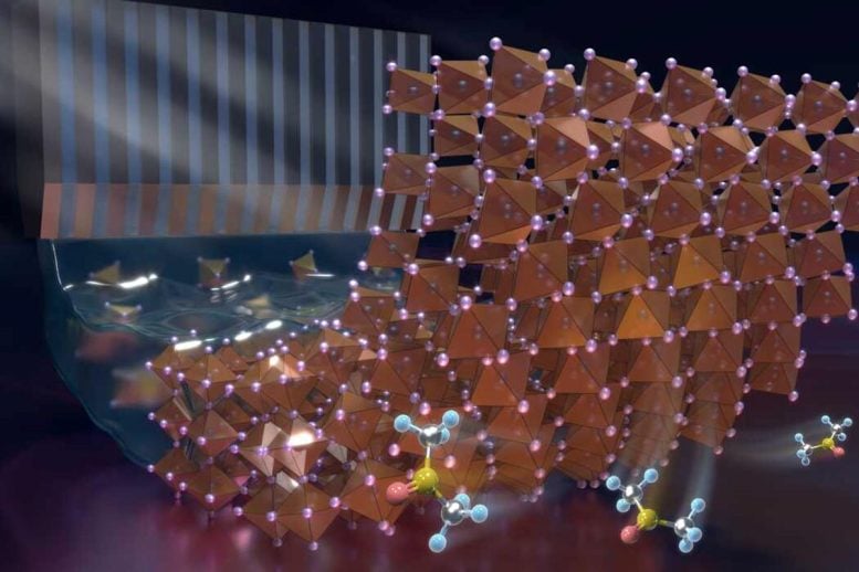 Scientists Fix a Hidden Flaw in Perovskite Solar Cells With Tiny Crystal Seeds Solvate Crystal Seeds at the Buried Interface