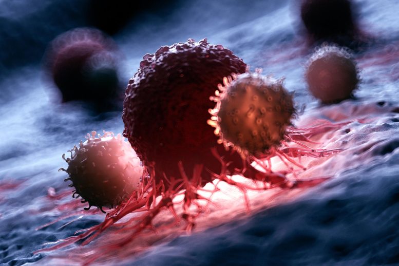 Scientists Found Cancer’s Invisibility Switch White Blood Cells Attacking Cancer Cell Close