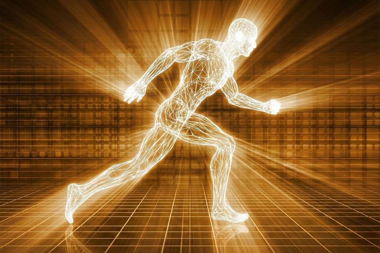 New Research Challenges Long-Held Beliefs About What Makes the World’s Fastest Sprinters So Quick Wireframe Man Sprinting Exercise Strength