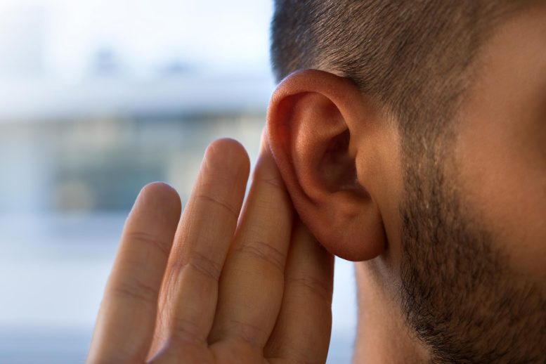 Scientists Discover Why Key Hearing Proteins Can Trigger Irreversible Deafness Young Man Hearing Problems Holding Ear Listening