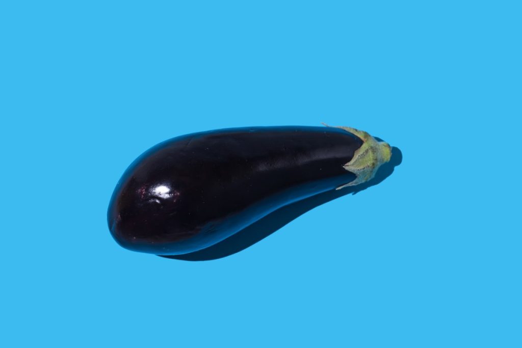 Raw eggplant with hard shadow on blue background.